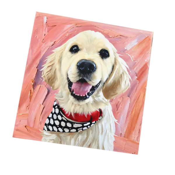 MYSTERY BOX FOR DIY PET ART CREATIONS - 图片 6