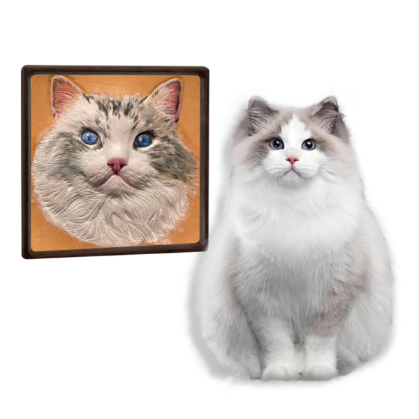 MYSTERY BOX FOR DIY PET ART CREATIONS