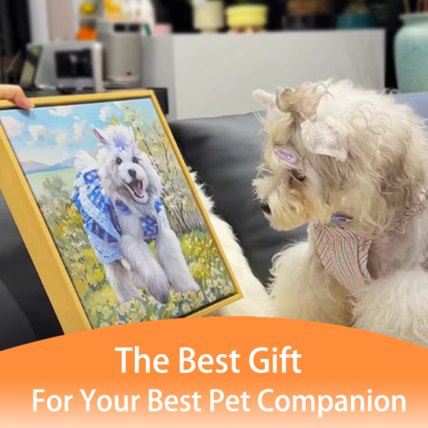 MYSTERY BOX FOR DIY PET ART CREATIONS - 图片 5