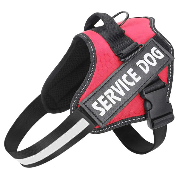 CUSTOM NAME & ID DOG HARNESS