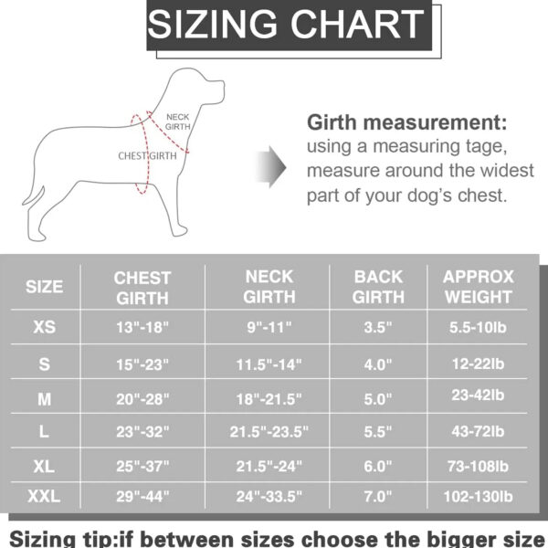 CUSTOM NAME & ID DOG HARNESS - 图片 11