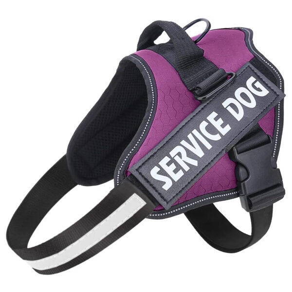 CUSTOM NAME & ID DOG HARNESS - 图片 6