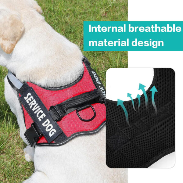 CUSTOM NAME & ID DOG HARNESS - 图片 8
