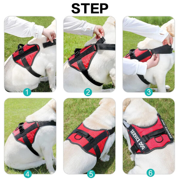 CUSTOM NAME & ID DOG HARNESS - 图片 9